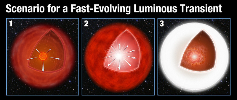 Artist’s impression of a FELT.